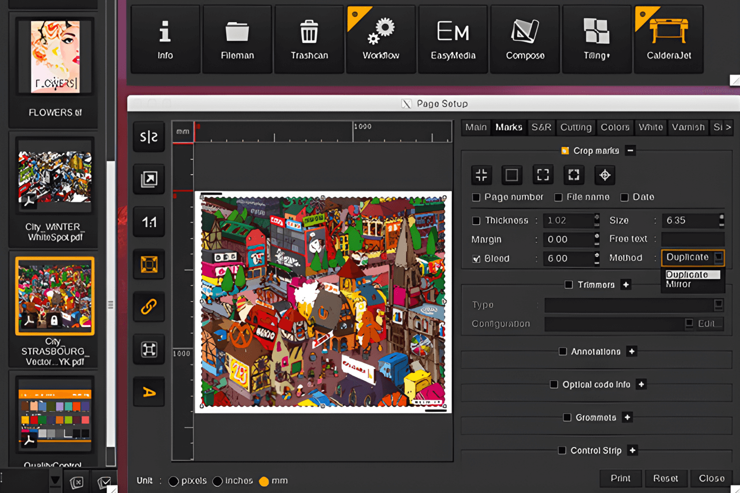 Cara Kerja RIP Software dalam Digital Printing
